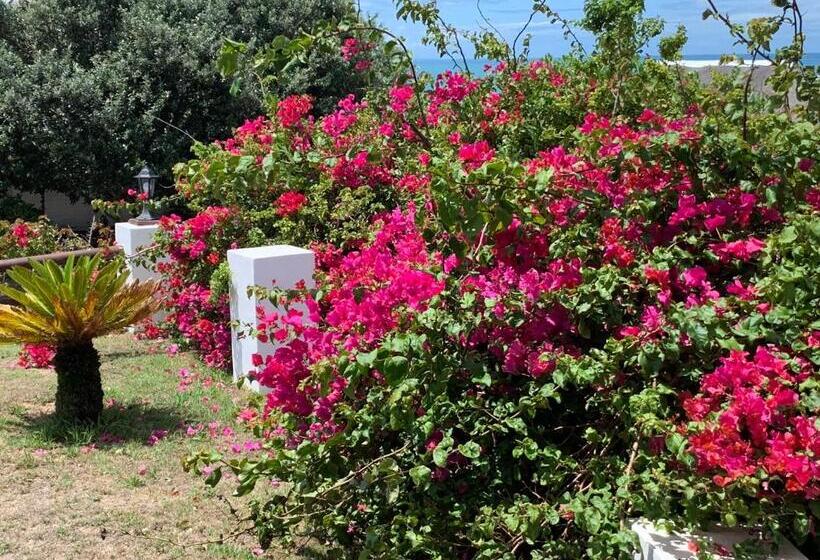 צימר Cycads On Sea Guest House