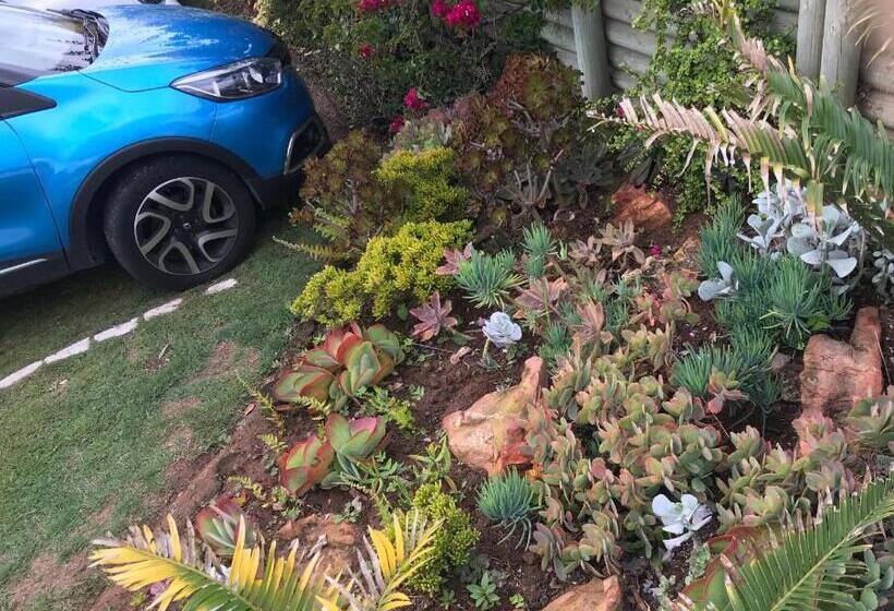 צימר Cycads On Sea Guest House