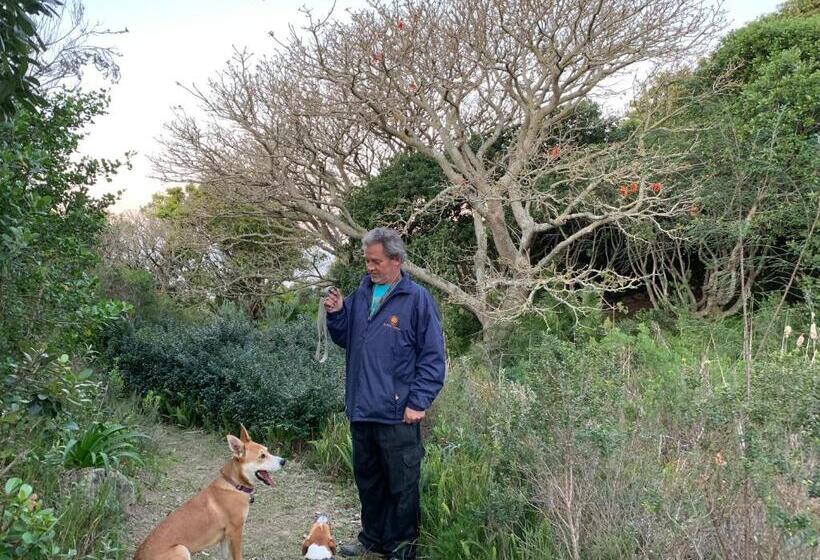 צימר Cycads On Sea Guest House