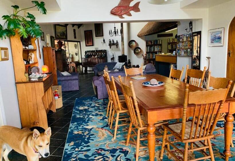 צימר Cycads On Sea Guest House