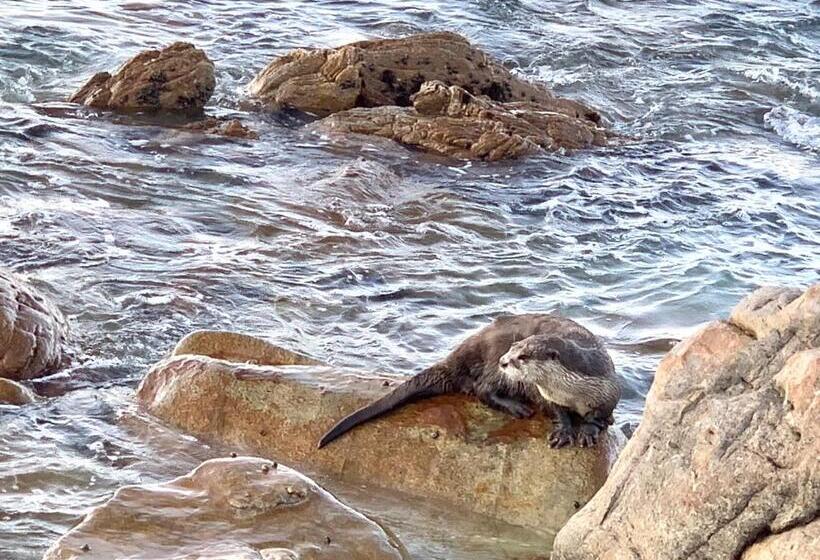 צימר Cycads On Sea Guest House