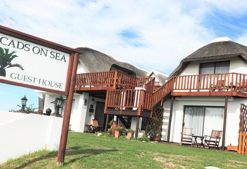 צימר Cycads On Sea Guest House