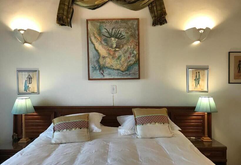 צימר Cycads On Sea Guest House