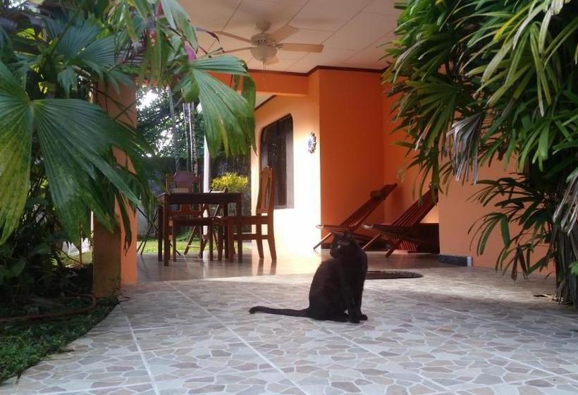 تختخواب و صبحانه Embassy House