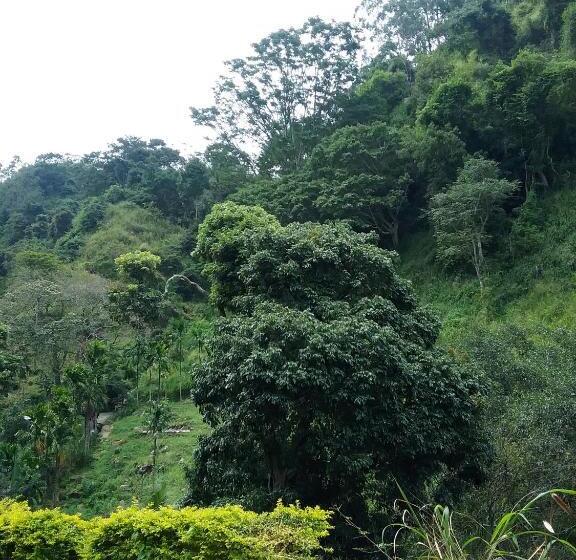 مبيت وإفطار Jungle Face Inn