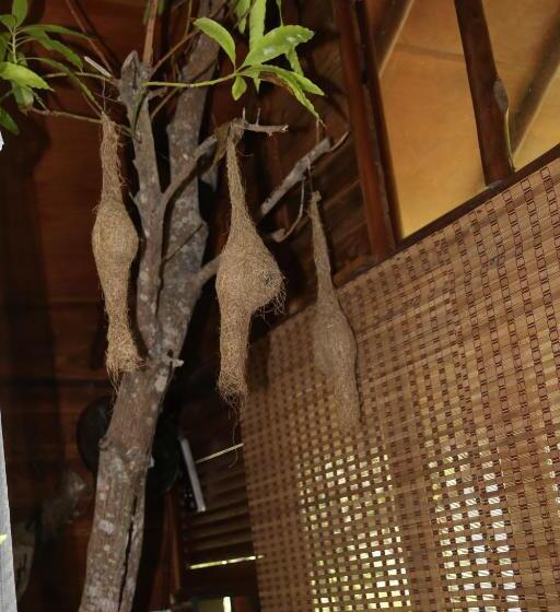 مبيت وإفطار Jungle Face Inn