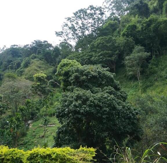 مبيت وإفطار Jungle Face Inn