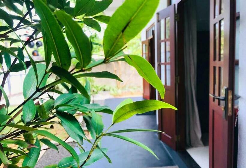 Bed and Breakfast Villa Seagull