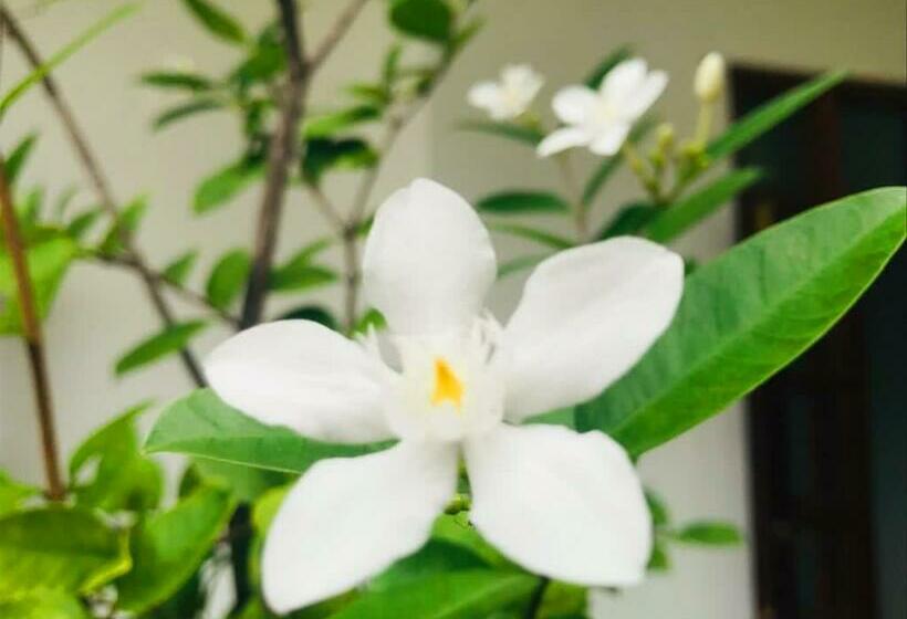 Bed and Breakfast Villa Seagull