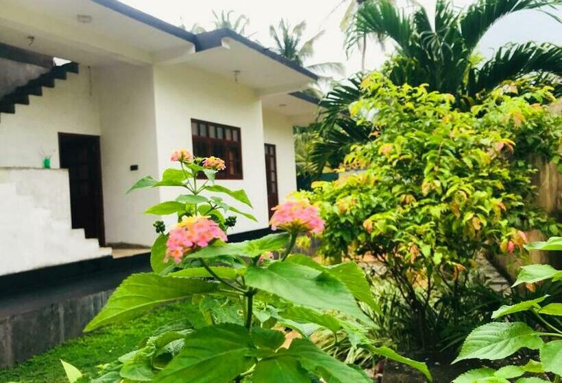 Bed and Breakfast Villa Seagull