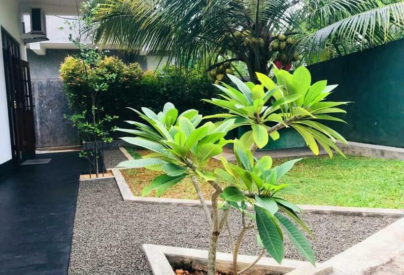 Bed and Breakfast Villa Seagull