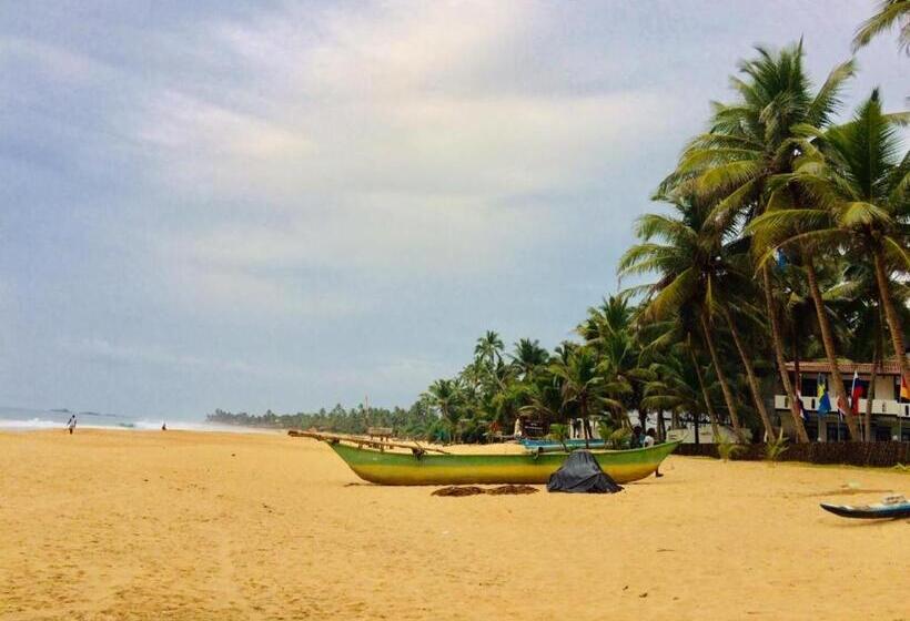 Bed and Breakfast Villa Seagull