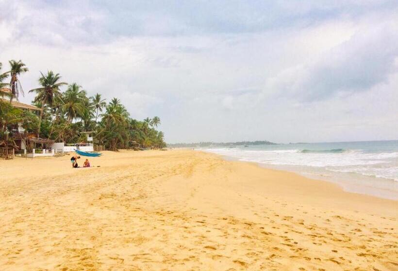 Bed and Breakfast Villa Seagull