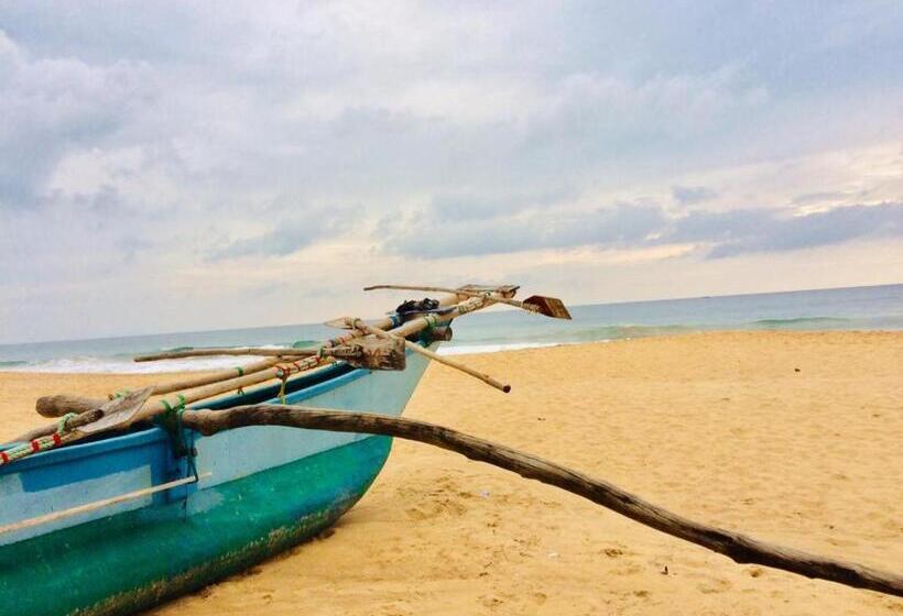 Bed and Breakfast Villa Seagull