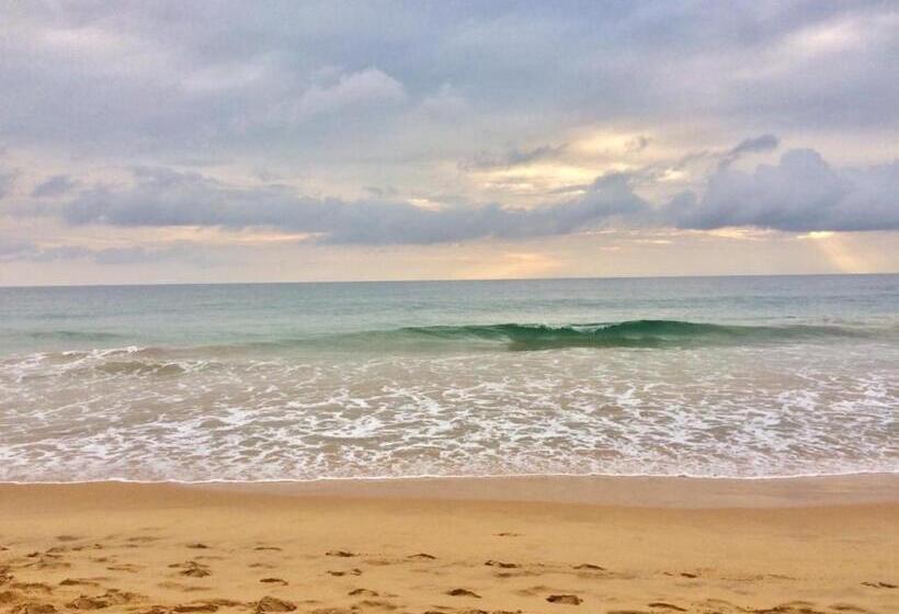 Bed and Breakfast Villa Seagull