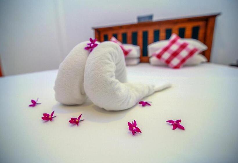 Bed and Breakfast Villa Seagull