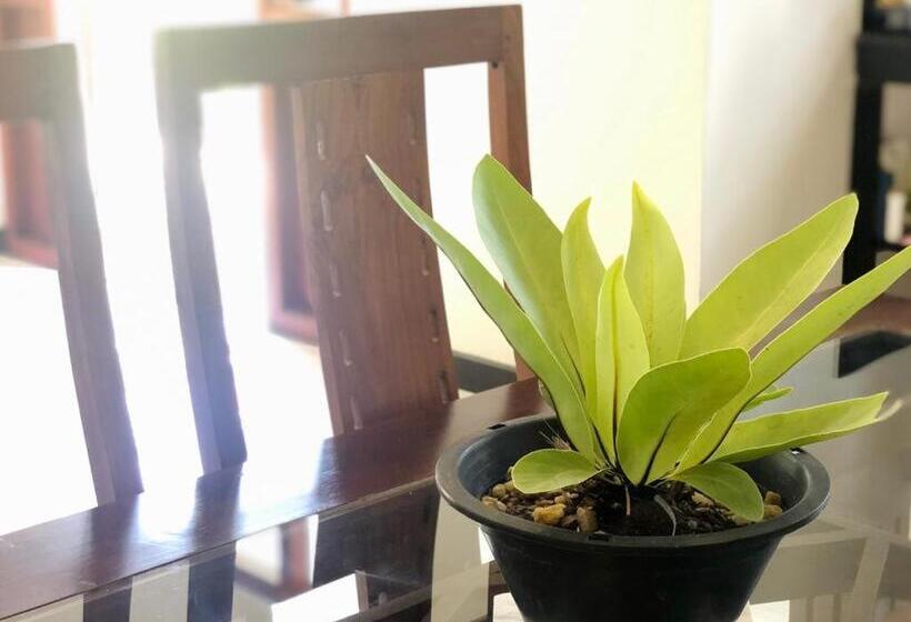 Bed and Breakfast Villa Seagull