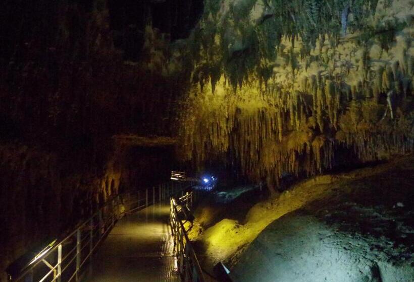 Condominium・yuyuki