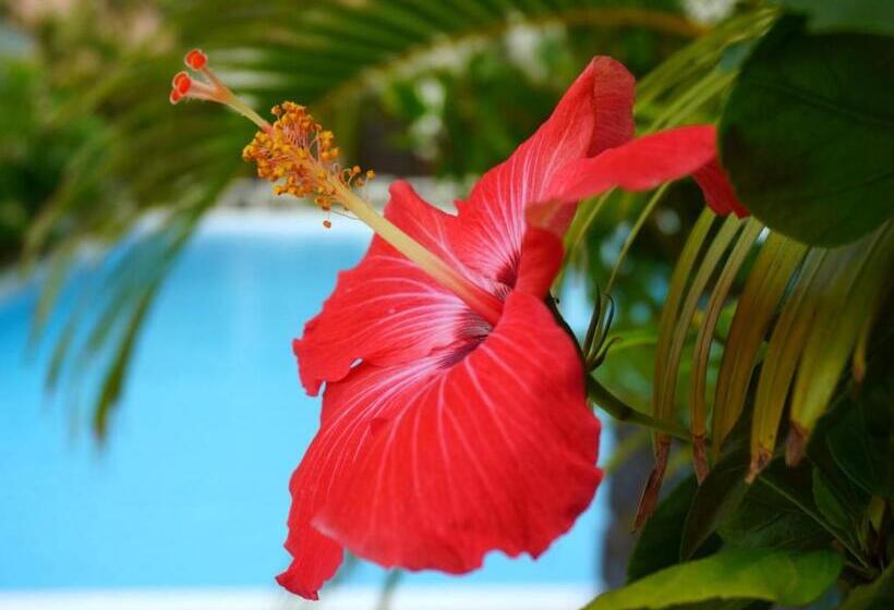 Condominium・yuyuki