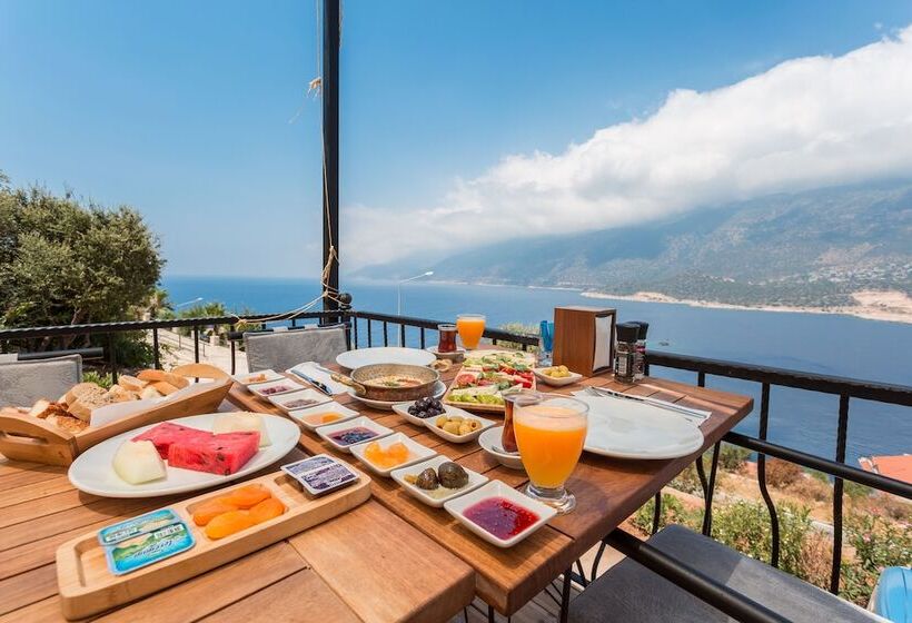 בית מלון כפרי Hillcity