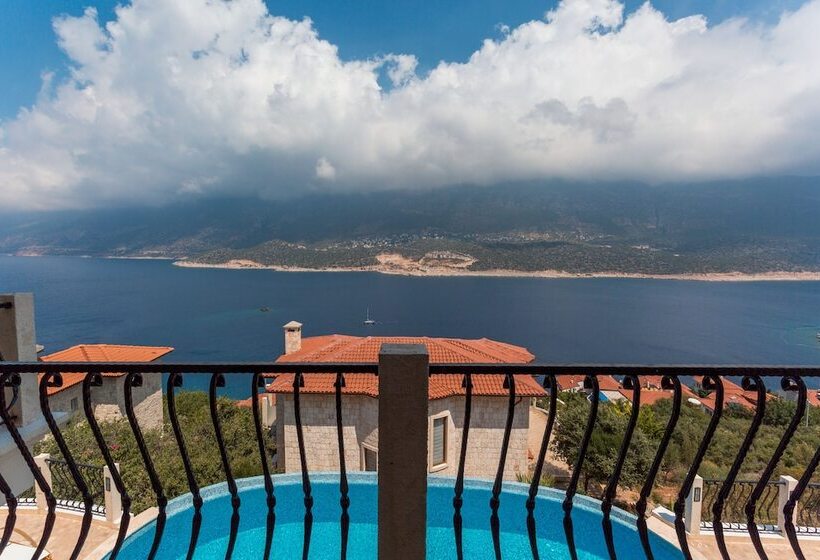 בית מלון כפרי Hillcity