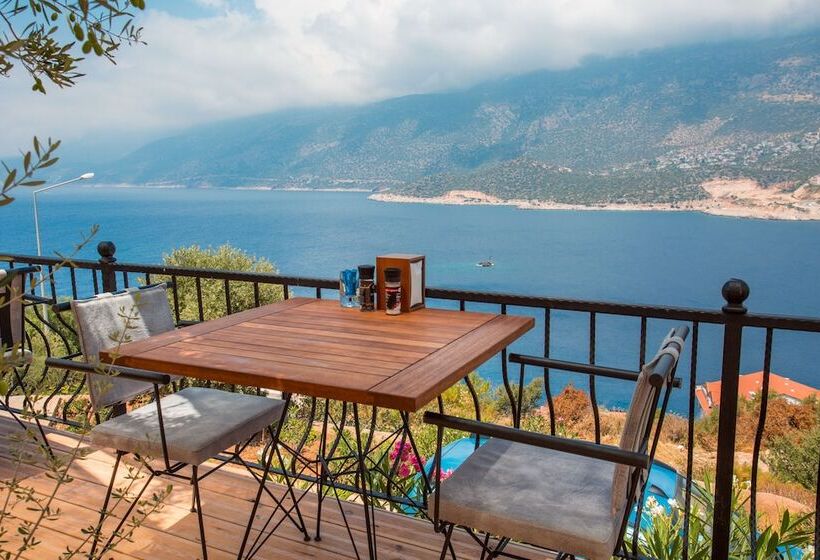 בית מלון כפרי Hillcity