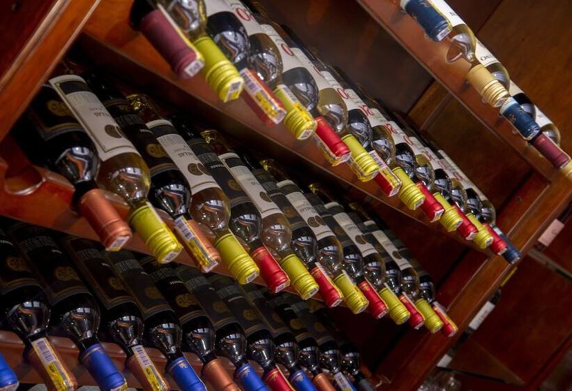 호텔 Mansion Barichara