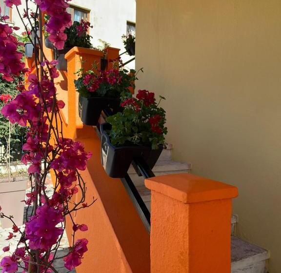 בית מלון כפרי Marion