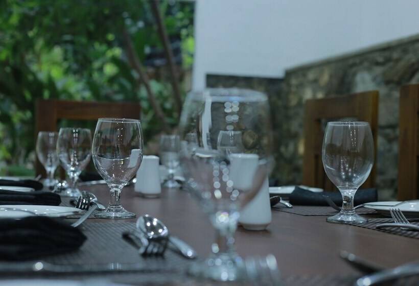 Отель Royal Mansion Luxury Villa