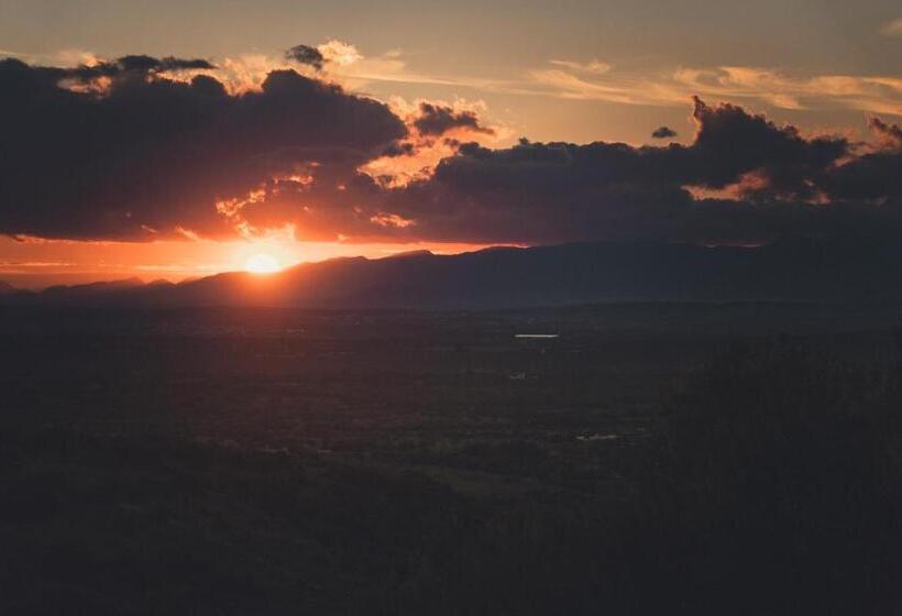 호텔 Son Mesquida Vell