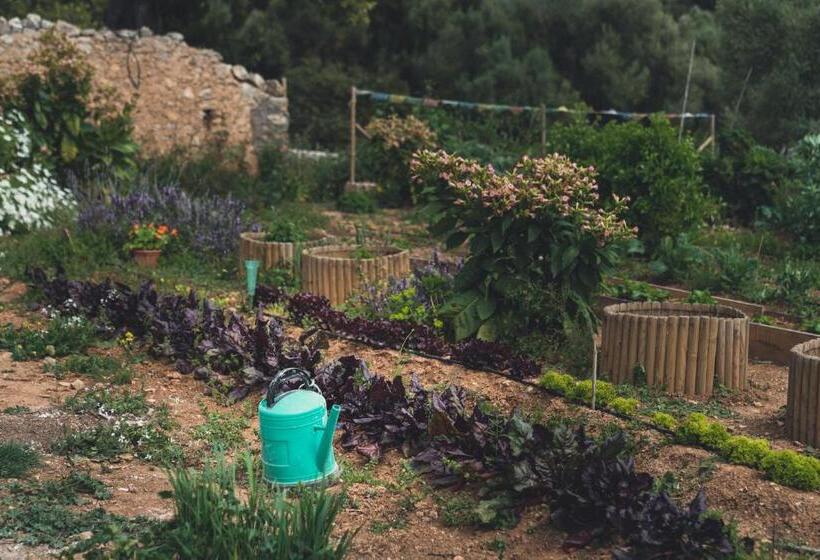 호텔 Son Mesquida Vell