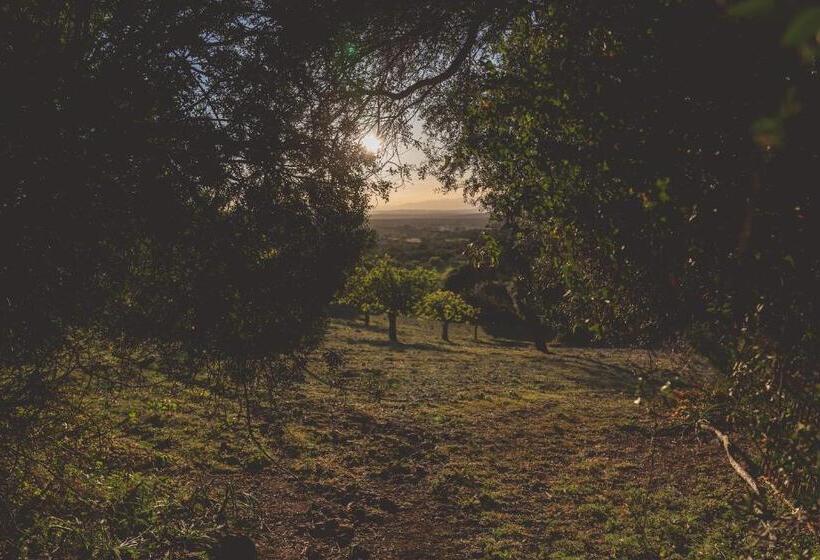 호텔 Son Mesquida Vell