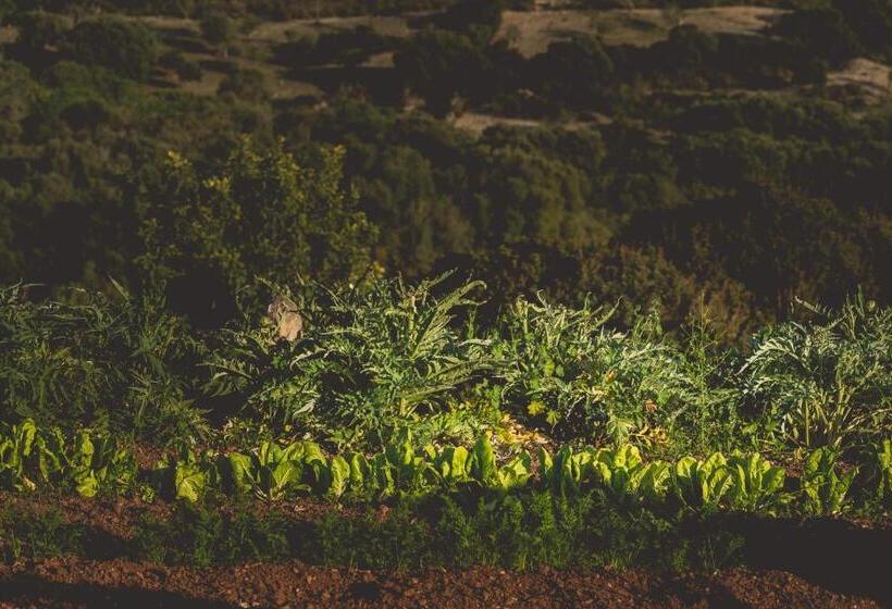 호텔 Son Mesquida Vell