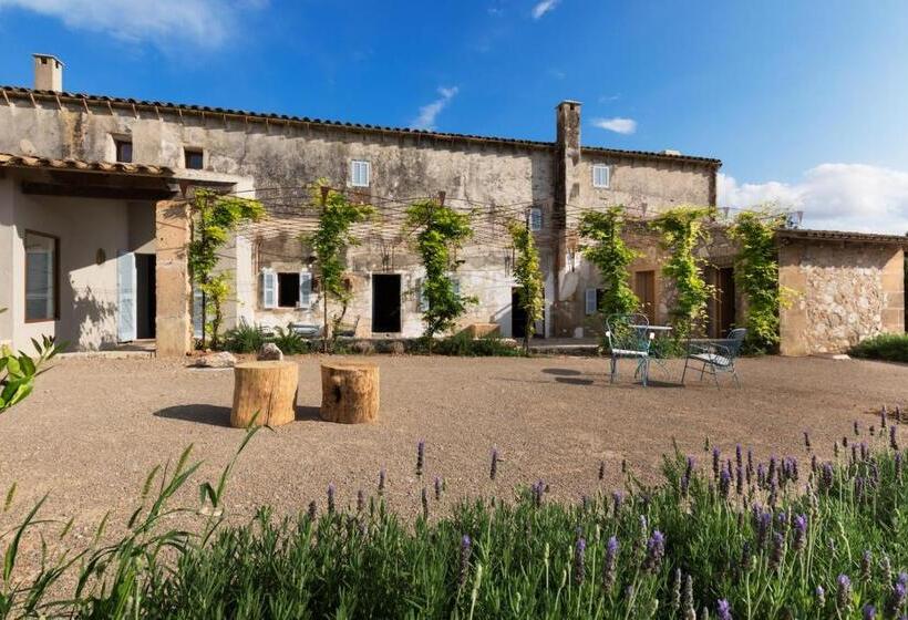 호텔 Son Mesquida Vell