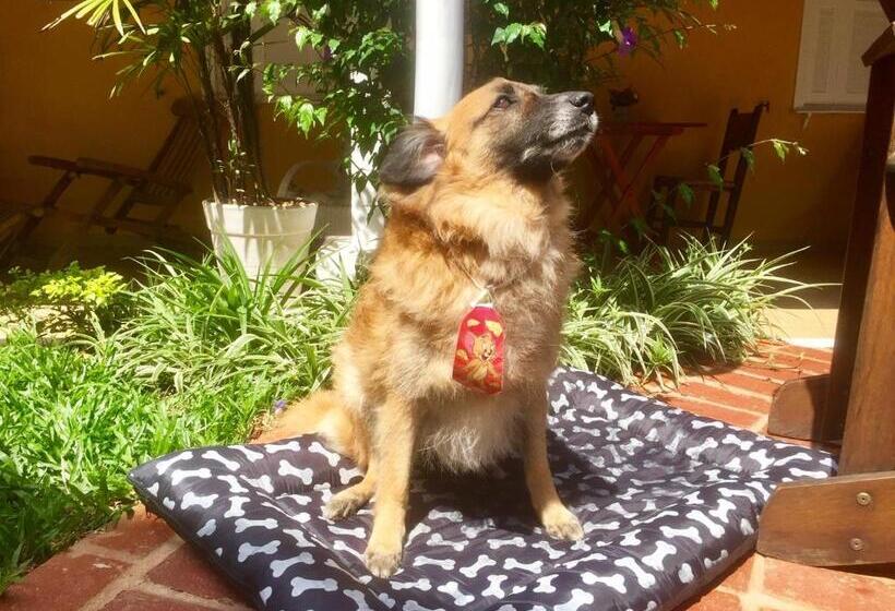 پانسیون Moa Pousada