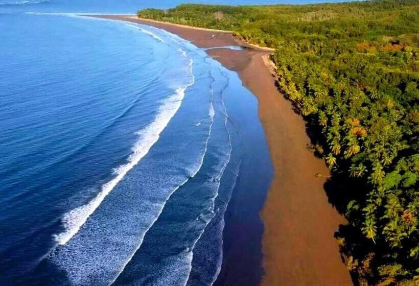 Apartahotel Playa Luna