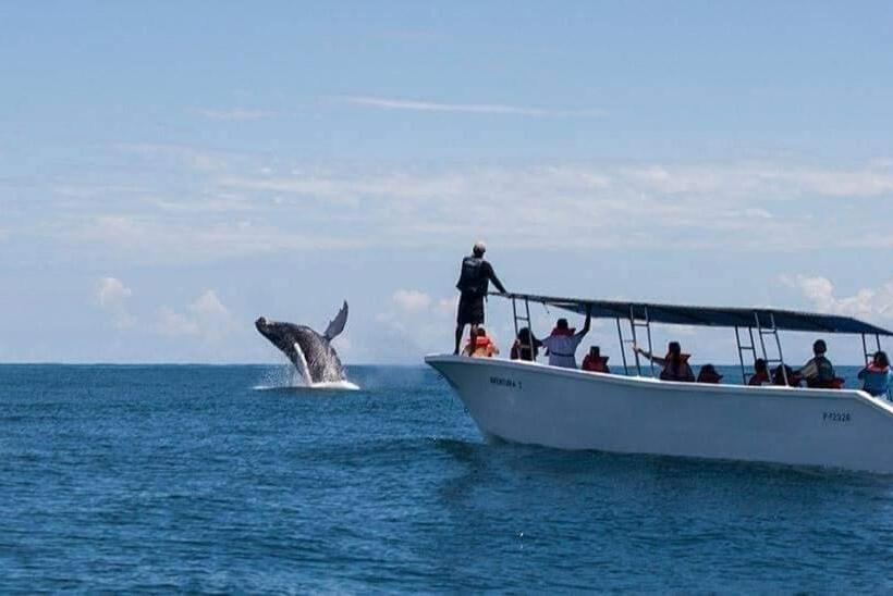 Apartahotel Playa Luna