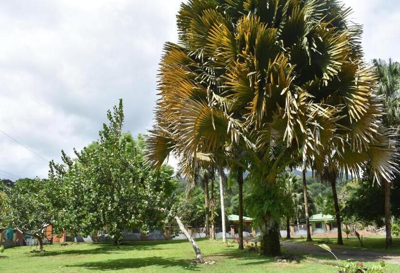 Apartahotel Playa Luna