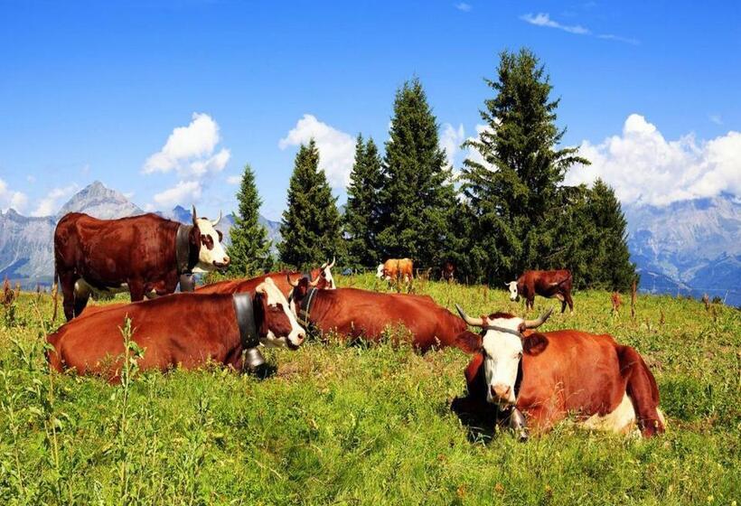 בית מלון כפרי Hôtel Du Soleil