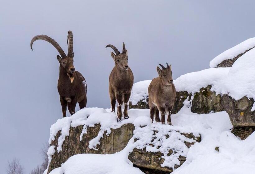 בית מלון כפרי Hôtel Du Soleil