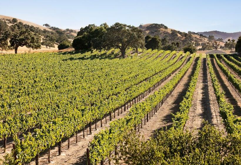 בית מלון כפרי Hyatt Place Santa Barbara