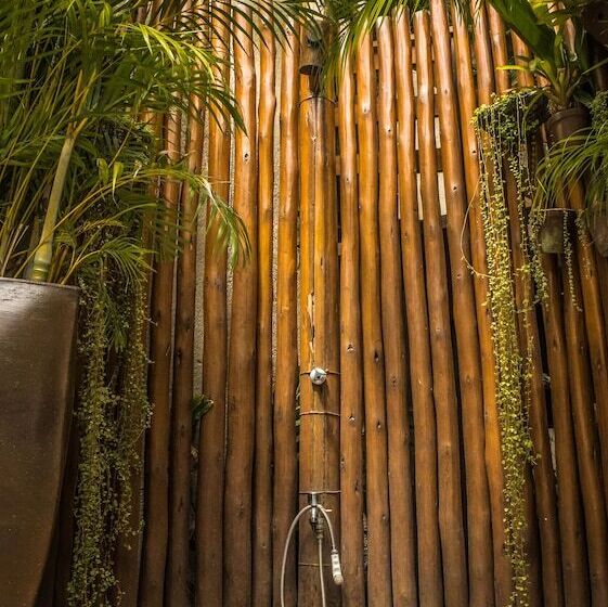 酒店 Pousada Agua De Coco