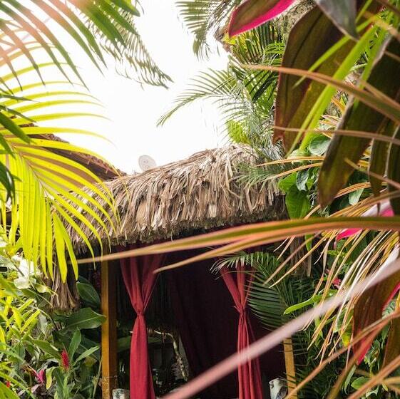 酒店 Pousada Agua De Coco