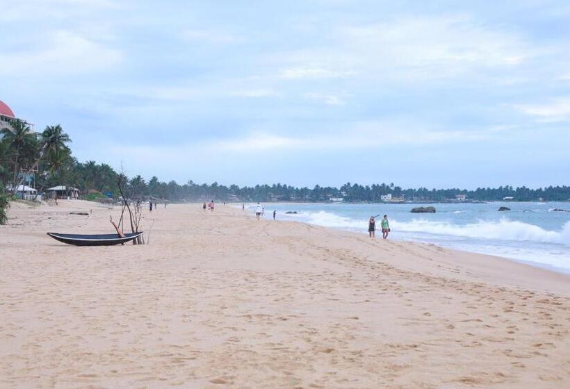 Отель Shenora Beach Resort