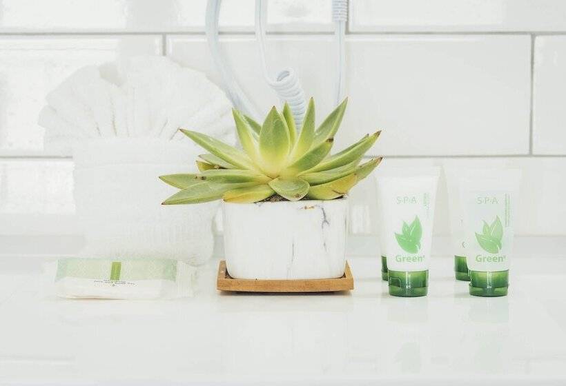 فندق The Belmont Shore Inn