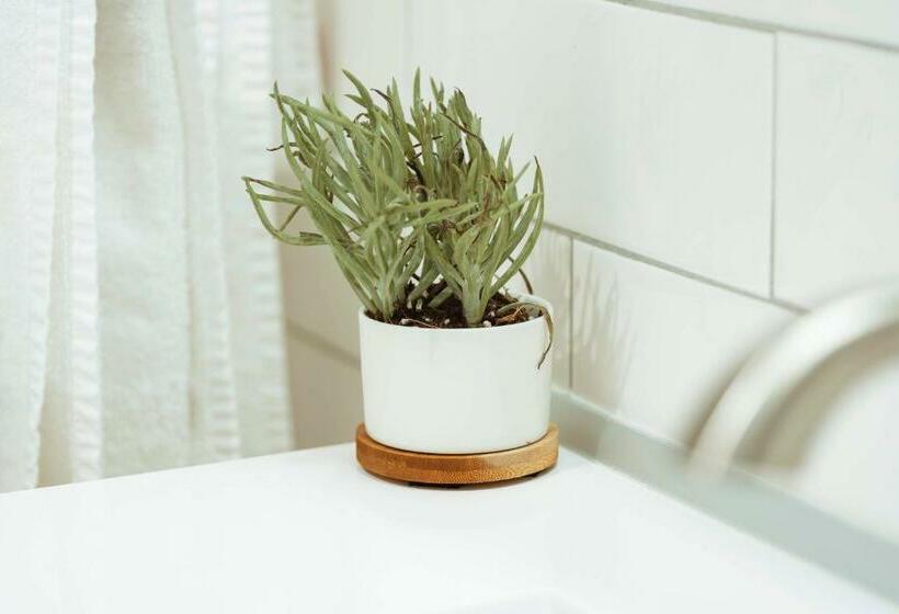 فندق The Belmont Shore Inn