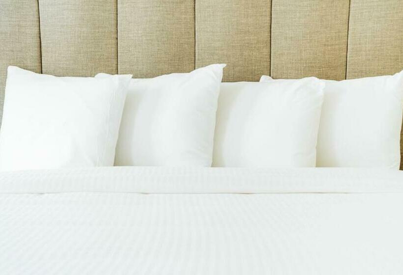 فندق The Belmont Shore Inn