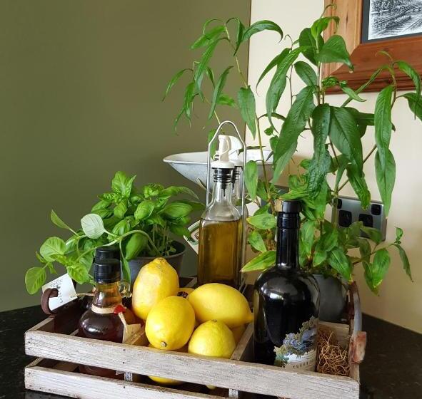 Villa Te Soro Bed And Breakfast