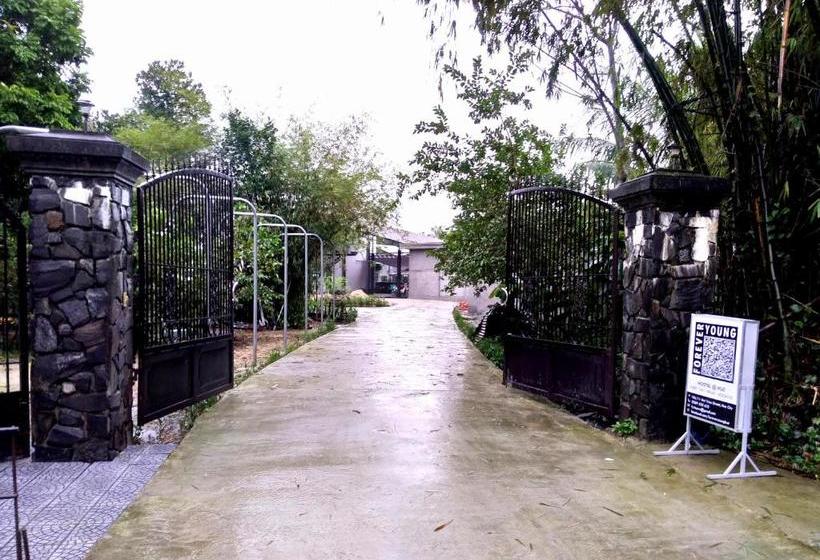 Forever Young Hostel