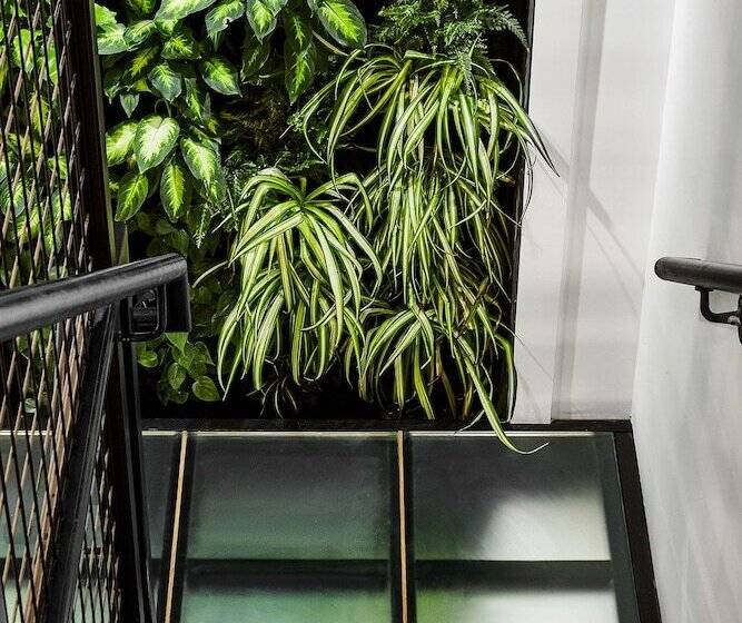 Lokal Hotel Fishtown